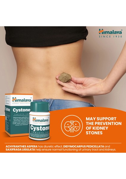 Cystone 100 Tablet indirimleri