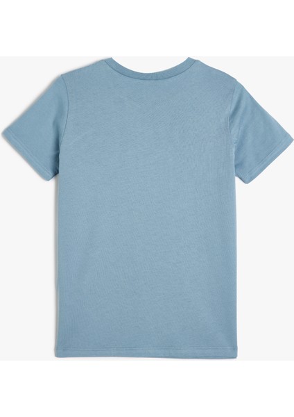Basic Tişört Kısa Kollu Bisiklet Yaka Pamuklu fiyatları