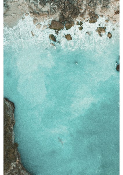 Oda Kokusu 500 ml Ocean