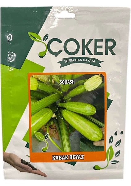 Beyaz Kabak Tohumu 10GR Paket