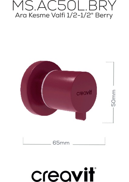 Ara Kesme Valfi 1/2-1/2" Berry