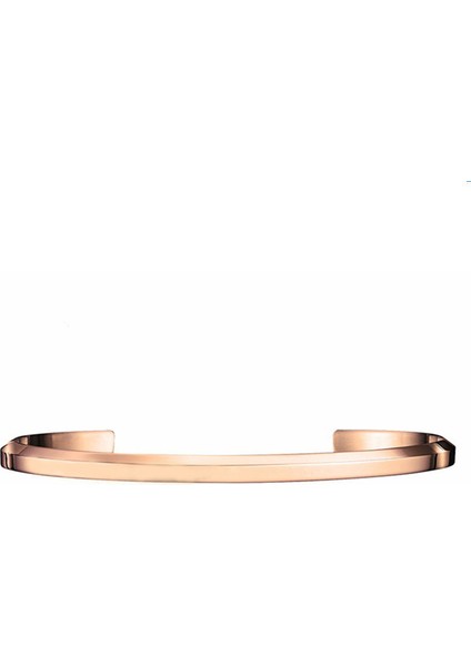 65X51MM Stili Altın Gül Lüks Moda Bayanlar Çekicilik Paslanmaz Çelik Yuvarlak Çubuk Bilezik ve Bilezikler Dw Erkek Kadın Çift Bilezikler Noel Hediyeleri (Yurt Dışından)