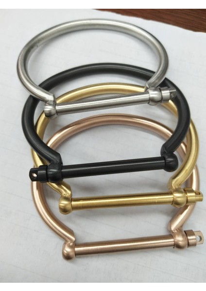 Siyah Renk 4 Renkli Moda Paslanmaz Çelik Bilezikler Bilezikler Vidalar Toka At Nalı Altın Şans Kolyeleri Kol Bilezik Femme Pulseira Masculina (Yurt Dışından) fiyatları