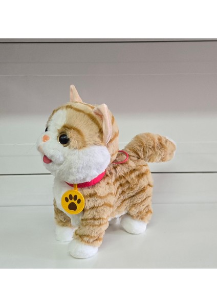 Oyuncak Uzaktan Kumandalı Kedi Sesli Ses Kayıt Edebilen Pelüş Peluş Sevimli Dil Çıkaran 25 cm