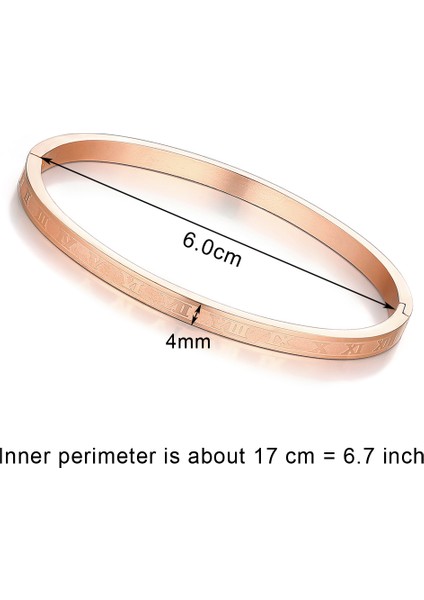 Rn-Gül-4mm Kadın Erkek Moda Takılar Için Tasarım Paslanmaz Çelik Rose Gold Roma Rakamlı Bilezik - Roman Numaralı Bilezik Bileşimi (Yurt Dışından)