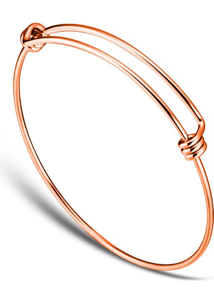 55 mm Tarzı Gül Altın Kaplama Lot 100% Paslanmaz Çelik Kendin Yap Bilezik mm Takı Bulucu Genişletilebilir Ayarlanabilir Tel Bilezik (Yurt Dışından)