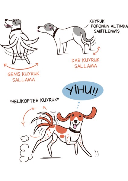 Kedi Dili ve Köpek Dili - Kartpostal - Ayraç - Aşı Takip Kartı - Ikili Set