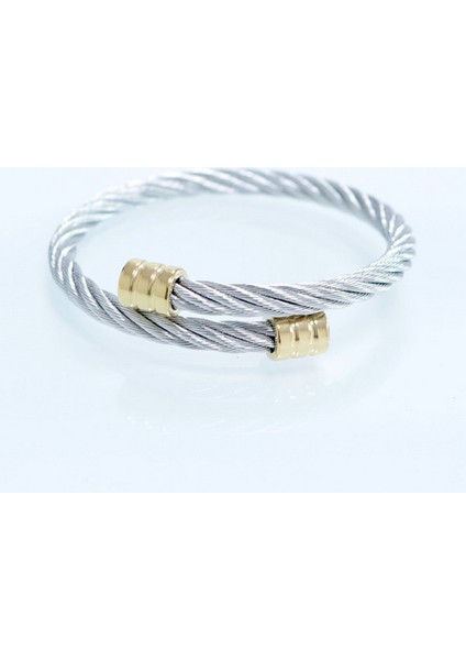 Çelik ve Altın Sıcak Erkekler Titanyum Çelik Roma Rakamı Bilezik Nal Toka Kolluklar Pulseira Bileklik Lüks El Yapımı Takı (Yurt Dışından)