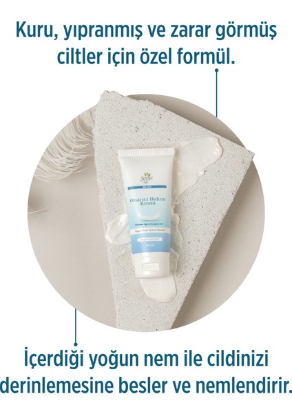 Kantaron Yağı, Zeytinyağı, Yoğun Nem Içeren Onarıcı Bakım Kremi Vücut Kremi 100 ml fiyatları