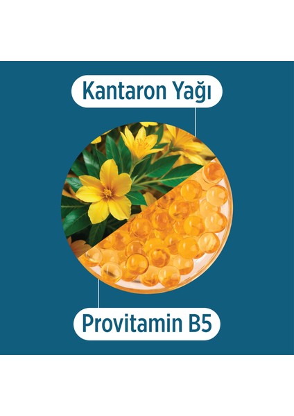 Kantaron Yağı, Zeytinyağı, Yoğun Nem Içeren Onarıcı Bakım Kremi Vücut Kremi 100 ml modelleri