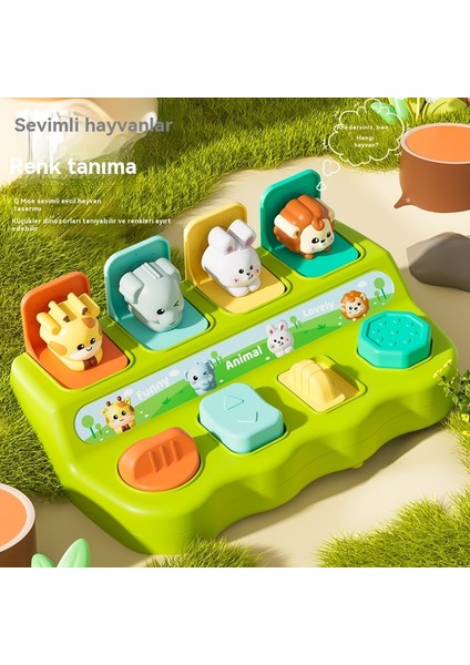 儿童躲猫猫机关盒早教益智玩具 (Yurt Dışından) fırsatları