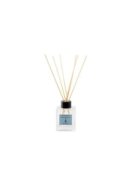 Casual White Jasmine Oda Kokusu 100ML