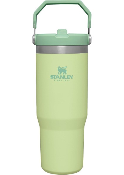 Iceflow Flip Straw Pipetli Termos Bardak, 0.89 Litre, Lime Yeşili (Citron)