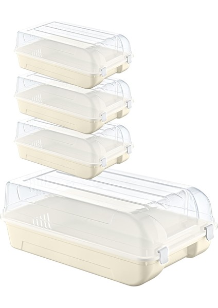 4'lü Set Erkek Latte Ayakkabı Kutusu