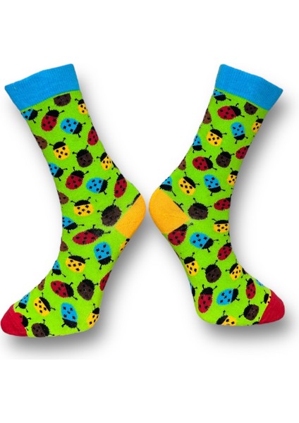 2'Li Balık Ve Uğur Böceği Tasarımlı Esnek Nem Alabilen Pamuklu Spor Soket Çoraplar indirimleri