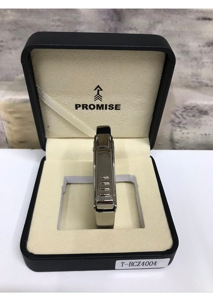 Promise Marka Gümüş Gri Gazlı Sarmaşık Desenli Kişiye Özel Çakmak