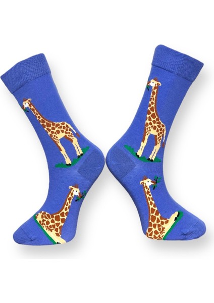 3'Lü Hayvan Temalı Zebra, Zürafa Ve Ayı Tasarımlı Esnek Nem Alabilen Pamuklu Spor Soket Çoraplar modelleri