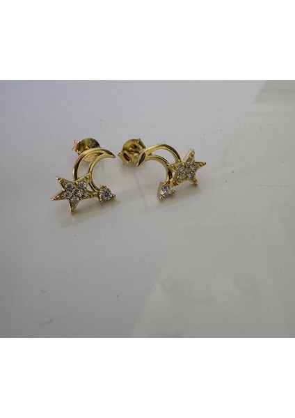 Liu Gümüş Küpe Ms3233, 925 Ayar Gümüş, İthal Ürün