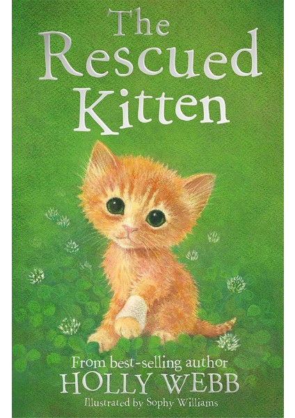 Holly Webb Animal Stories: The Rescued Kitten