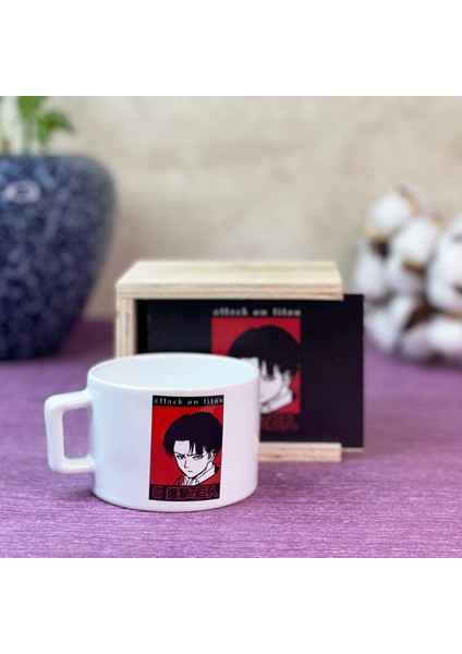 Levi Attack On Titan Tasarımlı Kutulu Kupa