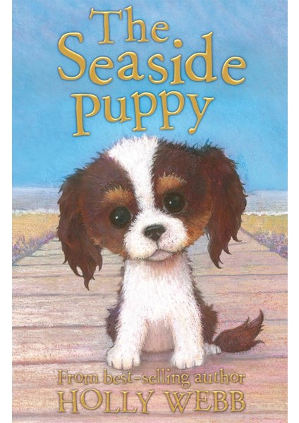Holly Webb Animal Stories: The Seaside Puppy