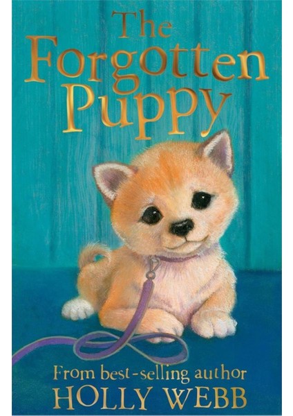 Holly Webb Animal Stories: The Forgotten Puppy