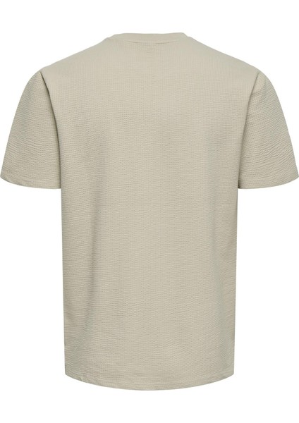 Onskıan Lıfe Reg Seersucker Ss Tee Noos Ekru