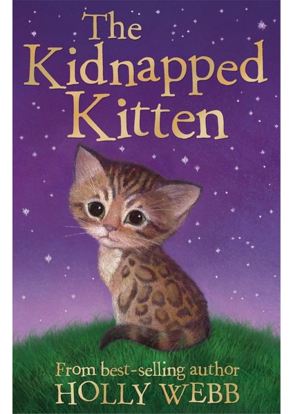 Holly Webb Animal Stories: The Kidnapped Kitten