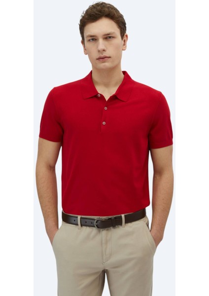 Kırmızı Polo Yaka Düz Örgü Triko