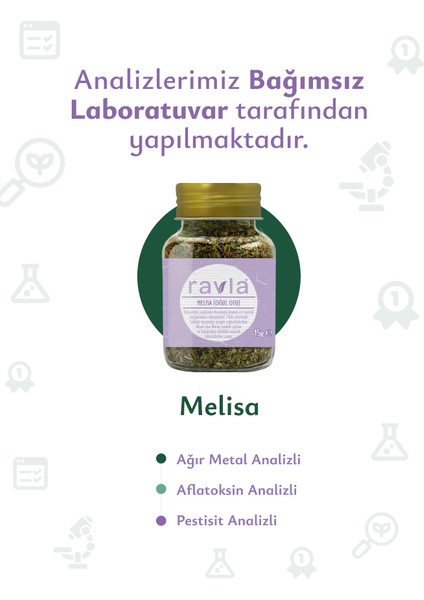 Melisa (Oğul Otu)- 15g
