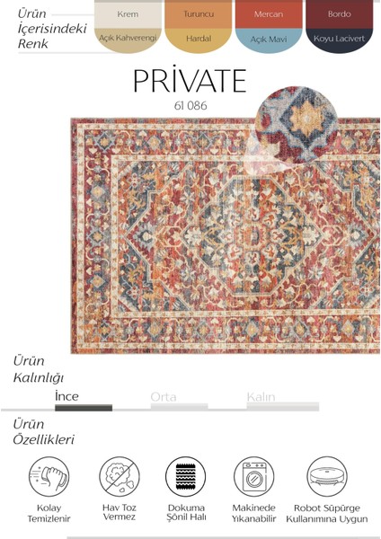 Private Renkli Eskitme Vintage Halı Etnik Desen Dokuma Şönil Halı Yıkanabilir Salon Halısı
