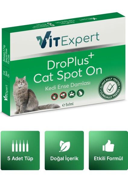 Kedi Ense Damla