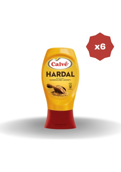 Hardal 250 gr - (6 Adet)