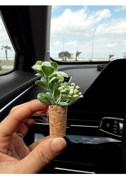 Şık Tasarım Mini Araç Klima Süsü | El Yapımı Mantar Saksı Çiçek Oto Kokusu | Difüzör Klipsli fırsatları