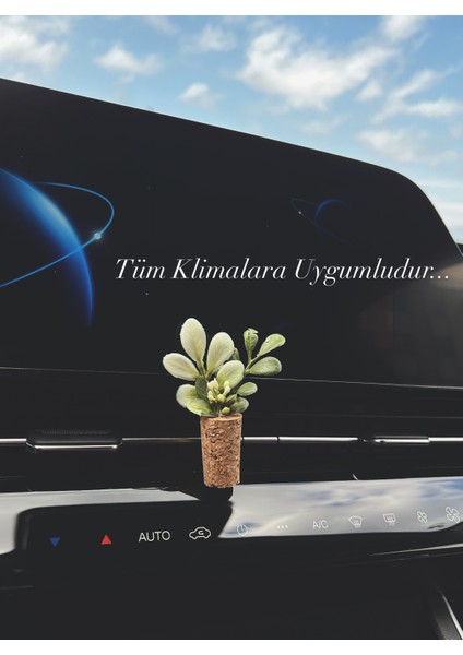 Şık Tasarım Mini Araç Klima Süsü | El Yapımı Mantar Saksı Çiçek Oto Kokusu | Difüzör(Kokusuz)Klipsli indirimleri