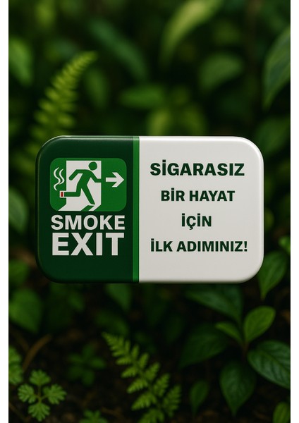 Smoke Exıt