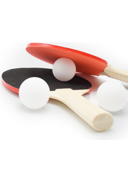 Masa Tenisi Seti - 2 Masa Tenisi Raketi + 3 Pinpon Topu fiyatları