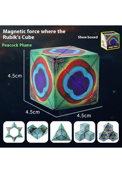 Çeşitli Geometri Manyetik Rubik Küp Akıllı 3D Çocuk Eğitici Oyuncak (Yurt Dışından)