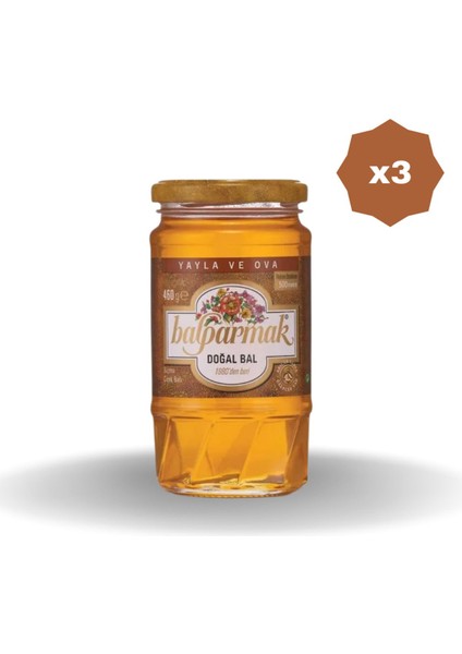 Yayla Ova Süzme Çiçek Balı 460 gr - (3 Adet)
