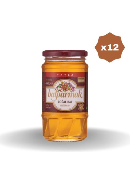 Çiçek Balı 460 gr - (12 Adet)