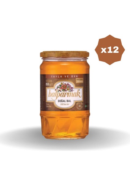 Ova Yayla Süzme Çiçek Balı 850 gr - (12 Adet)
