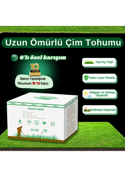 Çok Yıllık Çim Tohumu 20 kg Uzun Ömürlü 6'lı Karışım Gölge ve Aşırı Güneşli Alan Uygun Yetiştirilmesi Kolay 4 Mevsim Yeşil