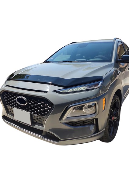 Audi Q7 Ön Kaput Koruyucu - Light| 2006-2015