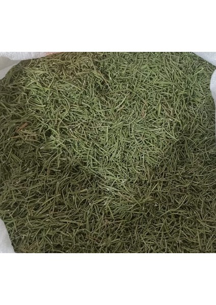 Biberiye 100 grr ( Doğal Kurutulmuş Yeni Mahsül Taze Ürün )
