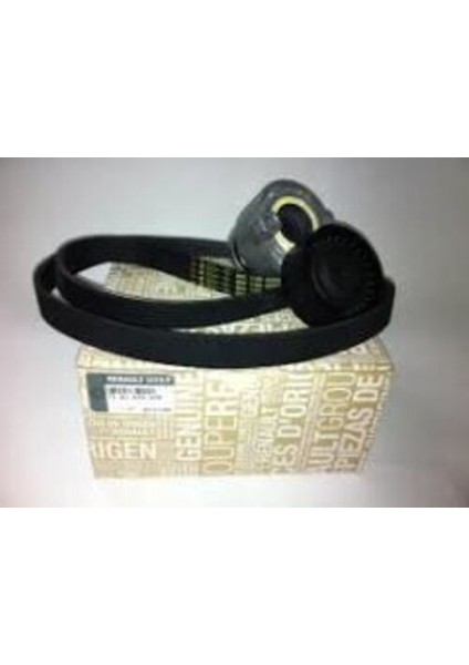 Renault 117203694R Renault Alternatör Gergi Kıtı Clıo Iıı Fluence