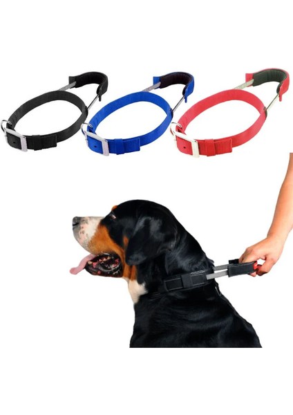 Boyun Tasması mavi Renkli XL 61 cm - 71 cm modelleri