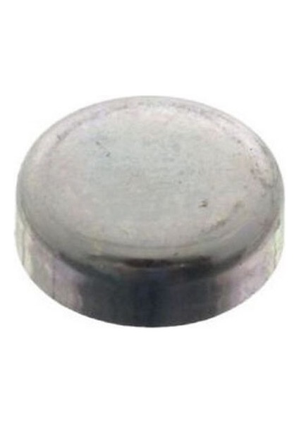 1738 Blok Su Tapası Cap 25MM Corsa C Combo C