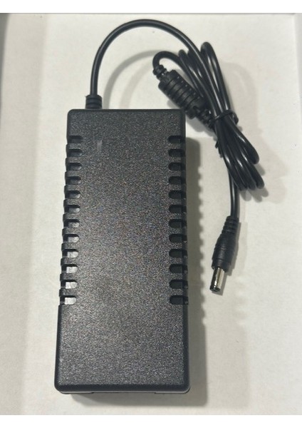 48 Volt 5 Amper Adaptör 48 V 5 A 5.5 mm 2.5 mm Adaptör