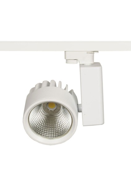 Mega Cob LED Ray Spot 40 Watt
