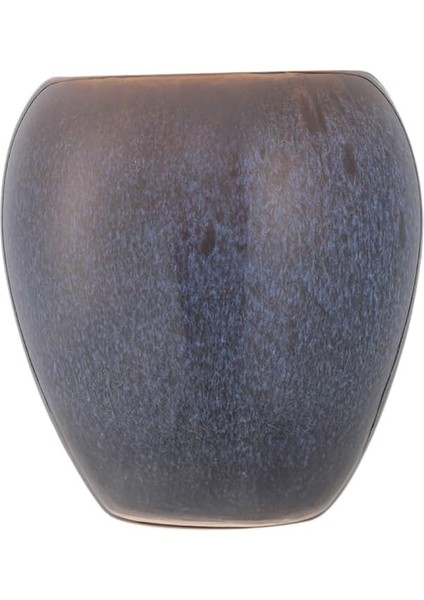 Balsas Diş Fırçalık